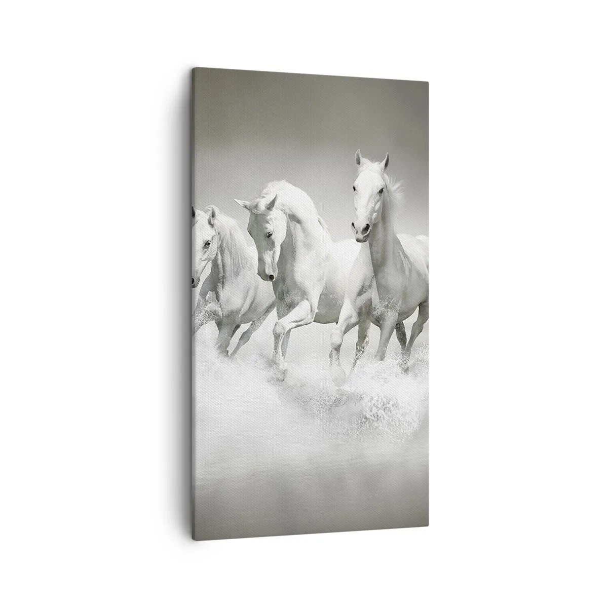 Cuadro sobre lienzo - Impresión de Imagen - Locura blanca - 45x80 cm