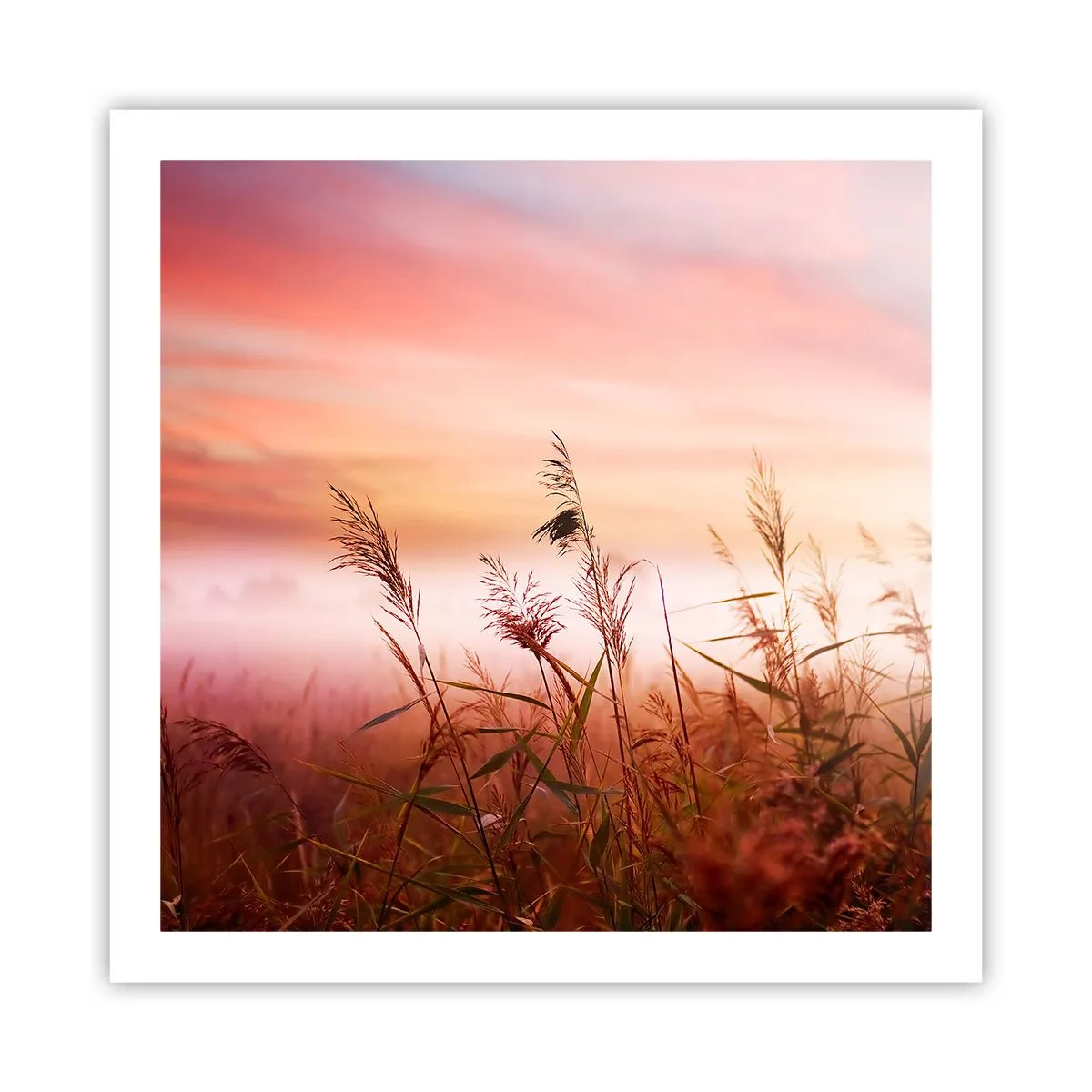 Póster - El arte del viento - 60x60 cm