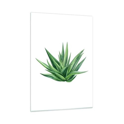 Cuadro sobre vidrio - Impresiones sobre Vidrio - Una planta verde con hojas carnosas sobre un fondo blanco. - 50x70cm - Verde - fuerza - vida - Decoración de pared moderna para salón y dormitorio ARTTOR