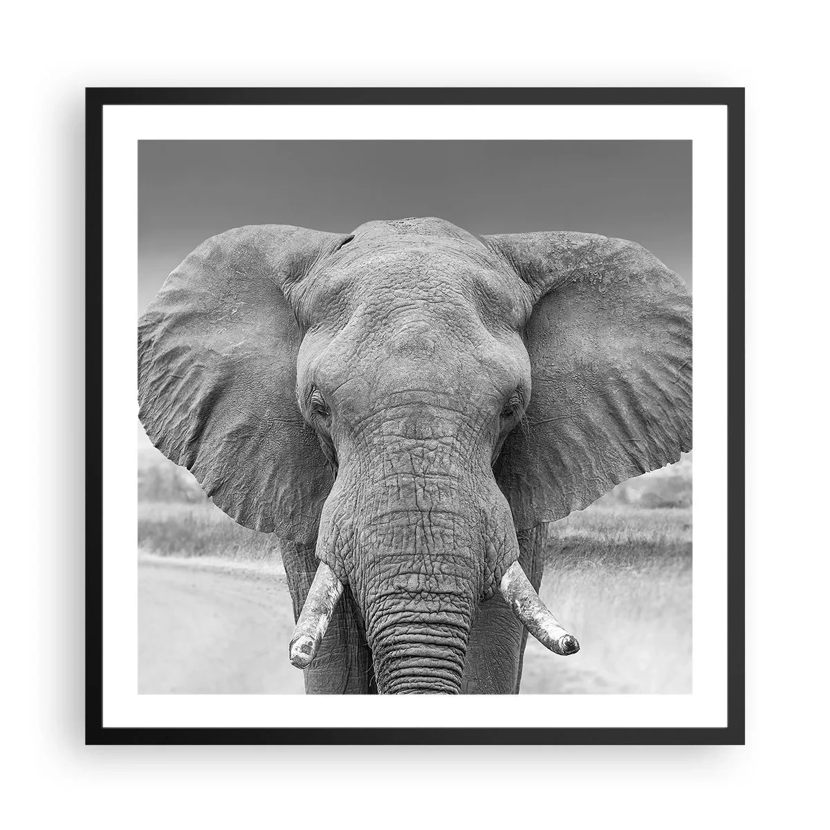 Póster en marco negro - Bienvenido a mi mundo - 60x60 cm