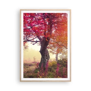 Póster en marco roble claro - Un frenesí de floración - 70x100 cm