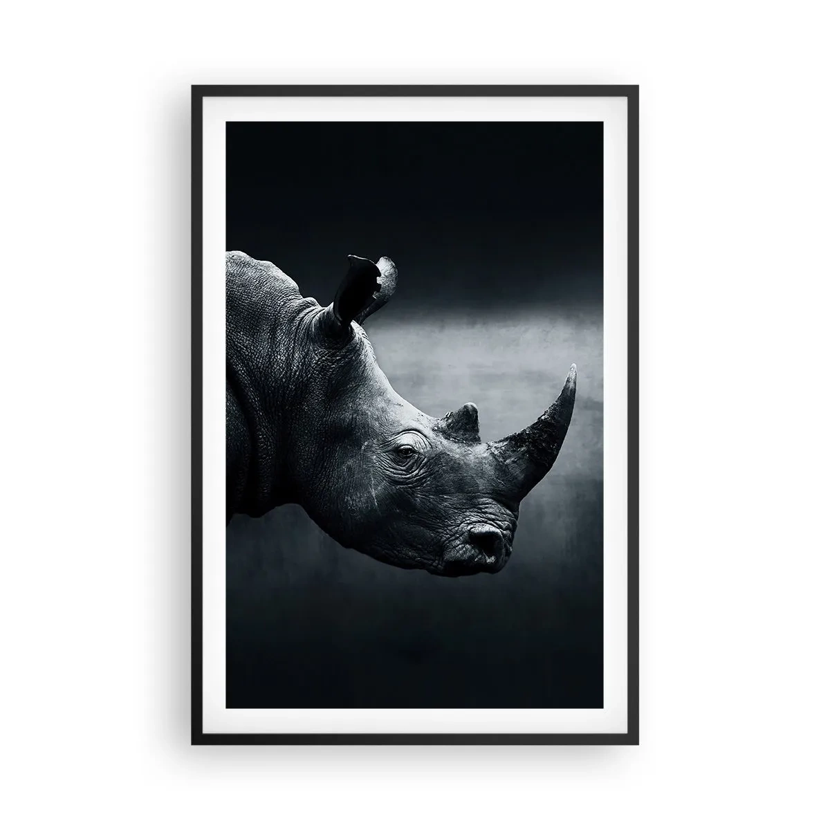 Póster en marco negro - Perfil derecho - 61x91 cm