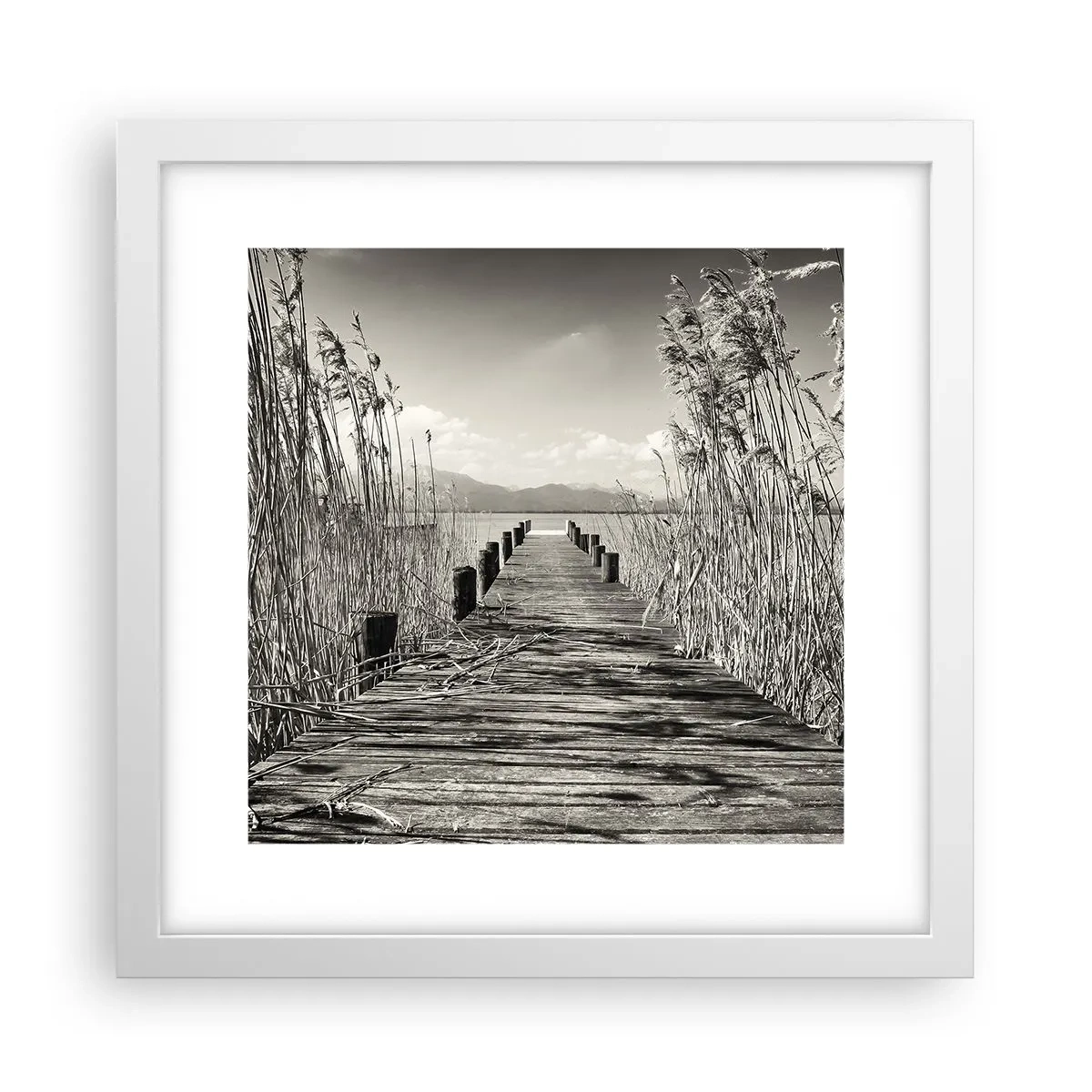 Póster en marco blanco - En la quietud de los juncos - 30x30 cm