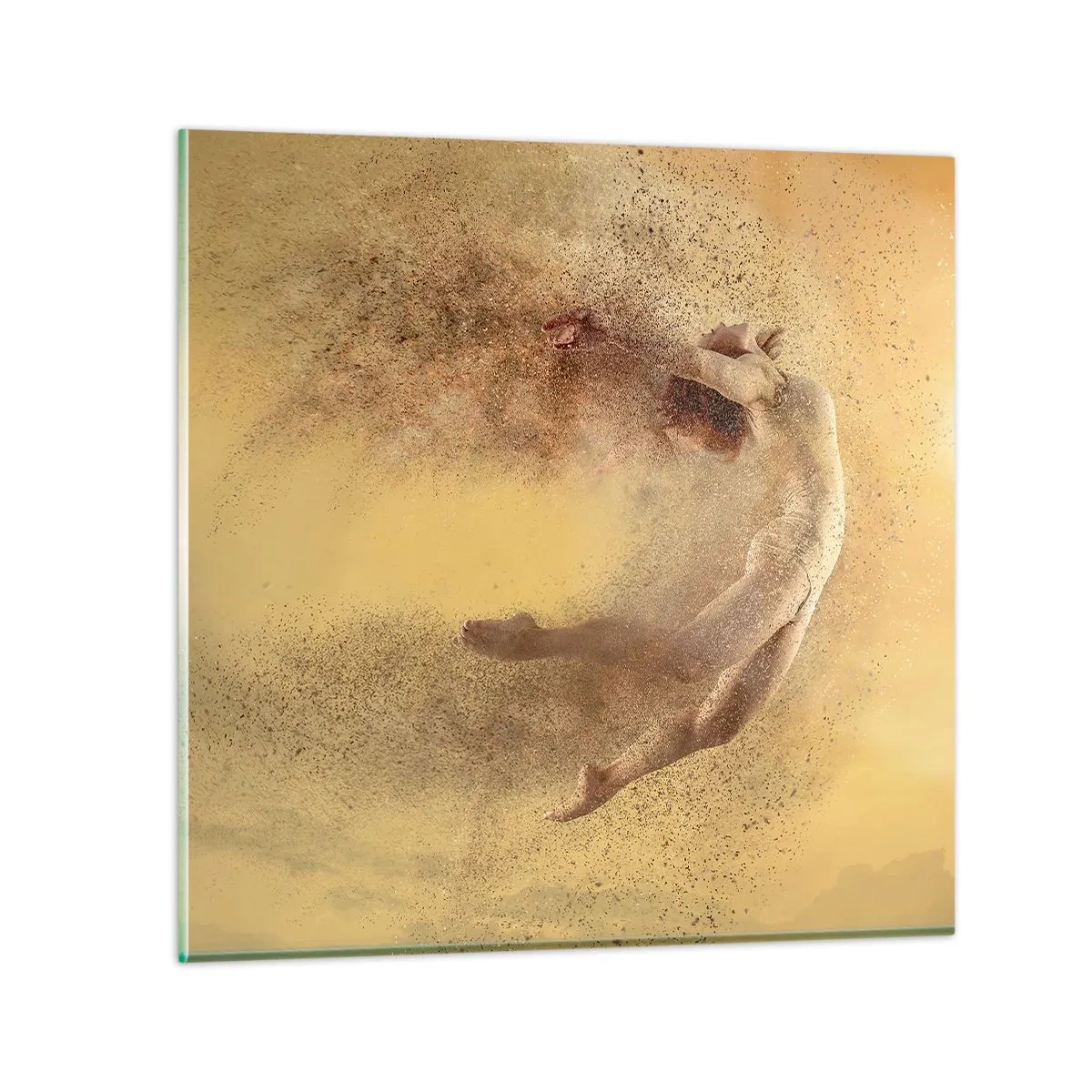 Cuadro sobre vidrio - Impresiones sobre Vidrio - En una exaltación danzante - 50x50 cm