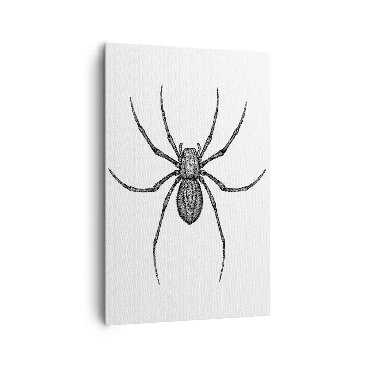 Cuadro sobre lienzo - Impresión de Imagen - Detalle de una araña sobre un fondo blanco en estilo de dibujos animados. - 80x120cm - Precisión inquietante - Decoración de pared moderna para salón y dormitorio ARTTOR