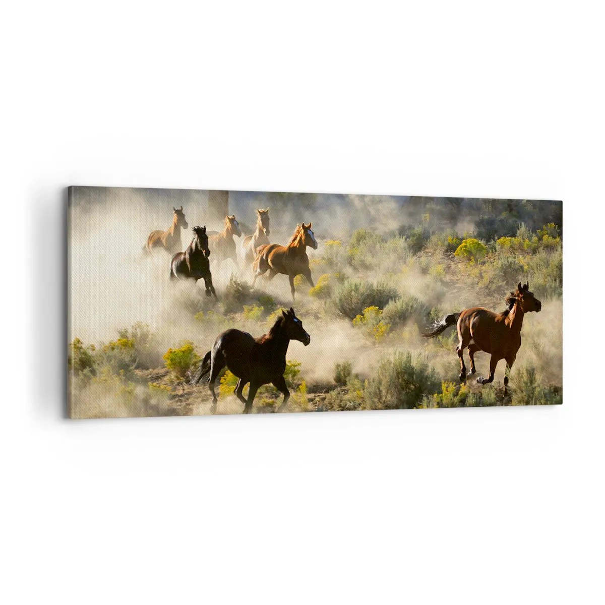 Cuadro sobre lienzo - Impresión de Imagen - Rivalidad: ¿libertad o fuerza? - 100x40 cm