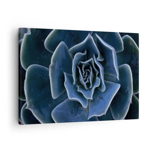 Cuadro sobre lienzo - Impresión de Imagen - Primer plano de una roseta suculenta verde - 70x50cm - Flor del desierto - Decoración de pared moderna para salón y dormitorio ARTTOR