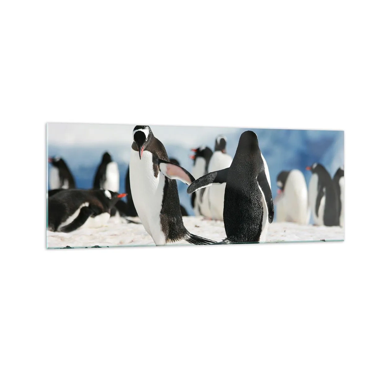 Cuadro sobre vidrio - Impresiones sobre Vidrio - Un grupo de pingüinos en la nieve en un paisaje antártico. - 140x50cm - Bailando en la nieve - Decoración de pared moderna para salón y dormitorio ARTTOR