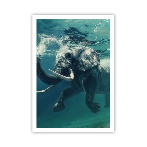 Póster - A todos nos gusta nadar - 70x100 cm
