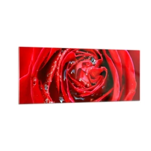 Cuadro sobre vidrio - Impresiones sobre Vidrio - En gotas de rocío - 100x40 cm