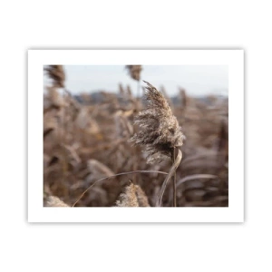 Póster - Es hora de volar con el viento - 50x40 cm