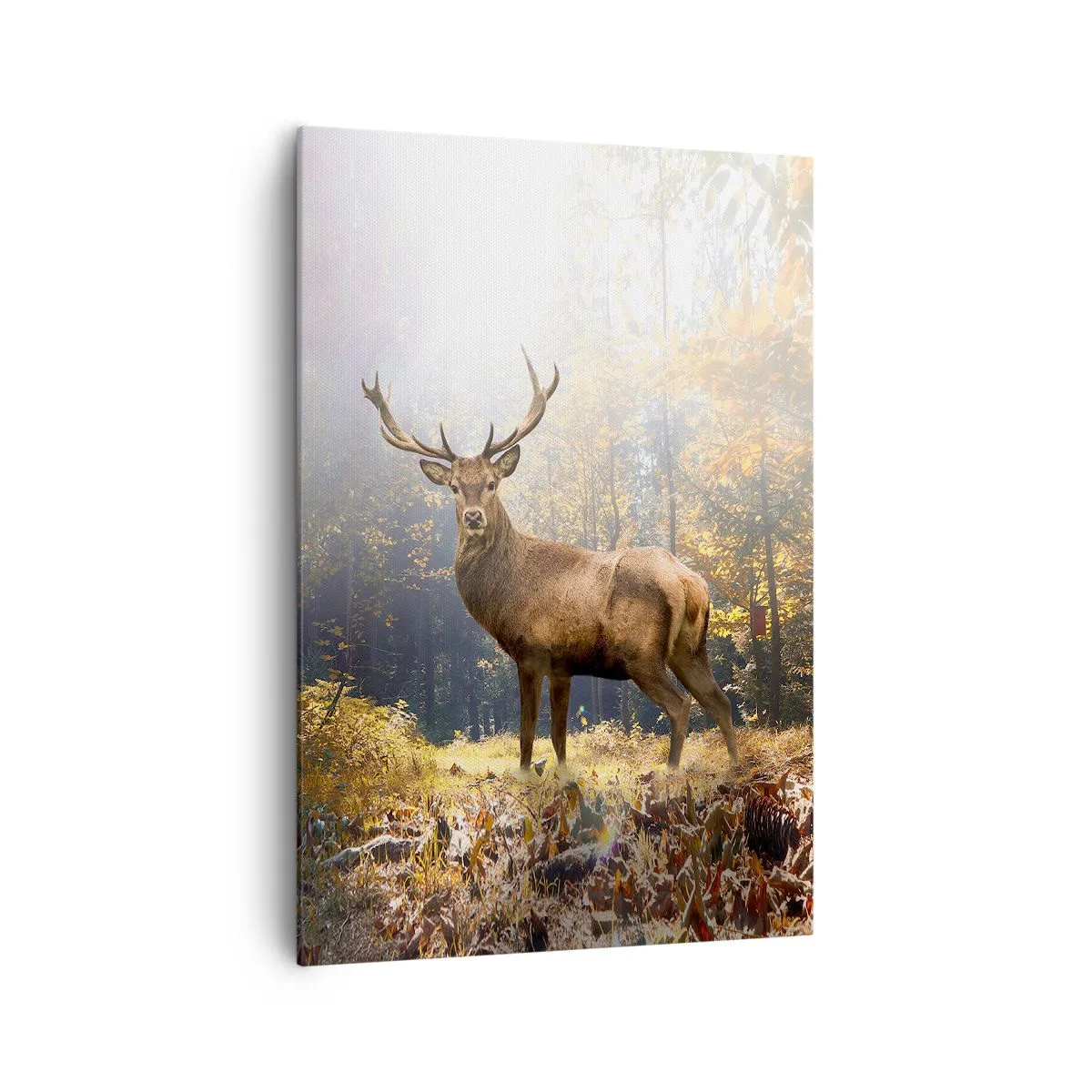 Cuadro sobre lienzo - Impresión de Imagen - Ciervos en el bosque otoñal con rayos de sol. - 70x100cm - Con toda la majestuosidad - Decoración de pared moderna para salón y dormitorio ARTTOR