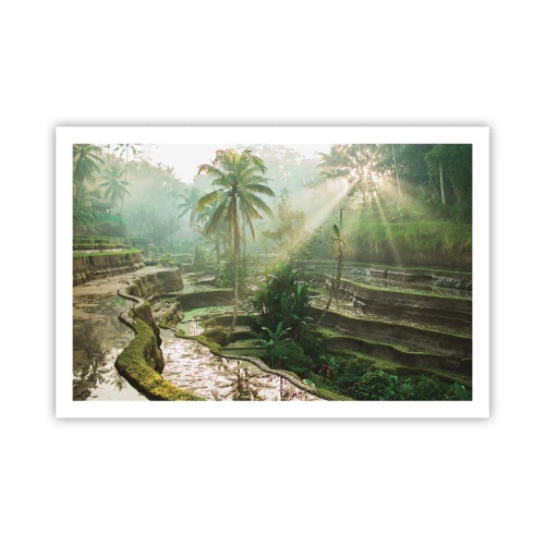 Póster - Crecer bajo el sol - 91x61 cm