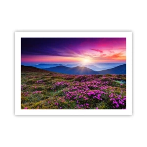 Póster - Dulce aroma a frescura - 70x50 cm