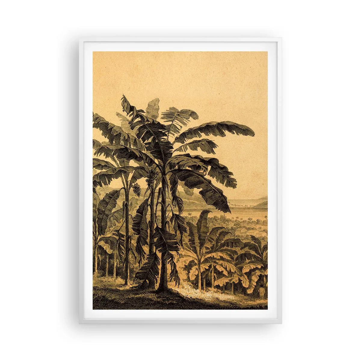 Póster en marco blanco - En un ambiente colonial - 70x100 cm