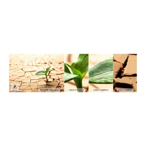 Muestra de fotomural autoadhesivo Deluxe Sticker - El poder indomable de la vida - Naturaleza, Planta, Sequía - 100x30 cm