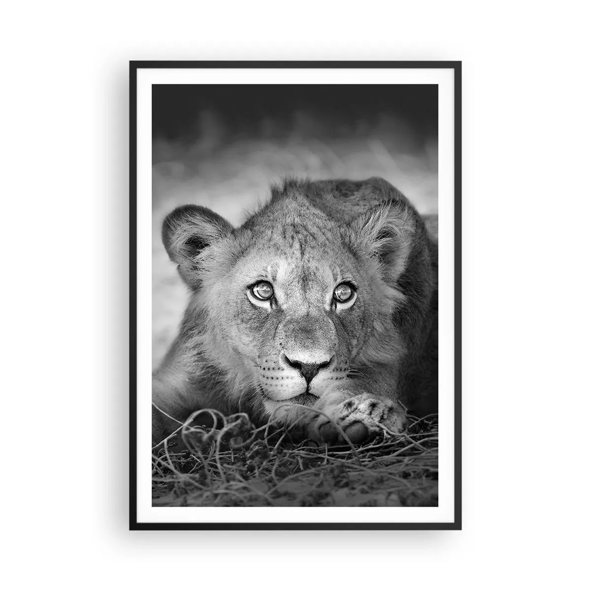 Póster en marco negro - Un cachorro real - 70x100 cm