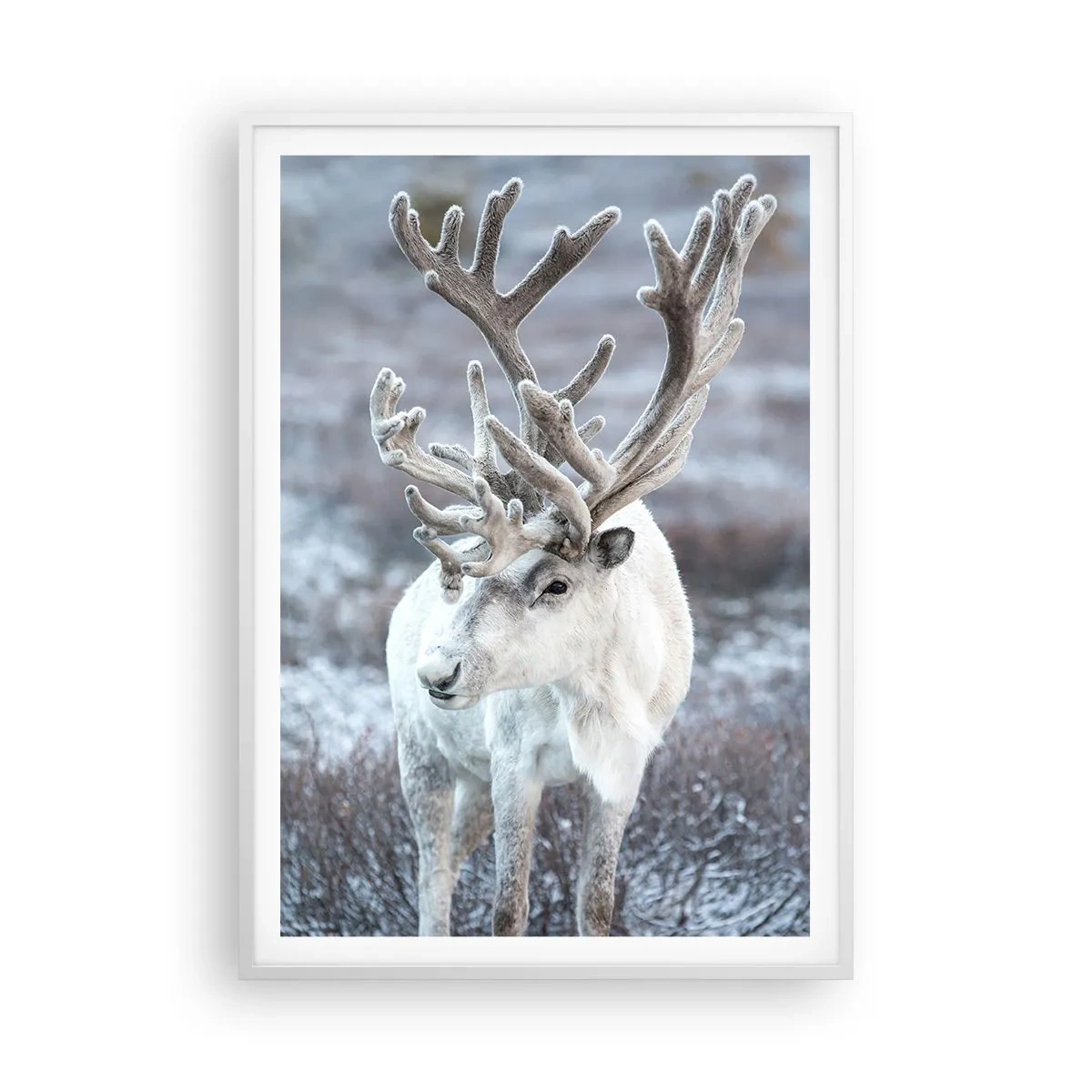 Póster en marco blanco - Retrato al sol - 70x100 cm