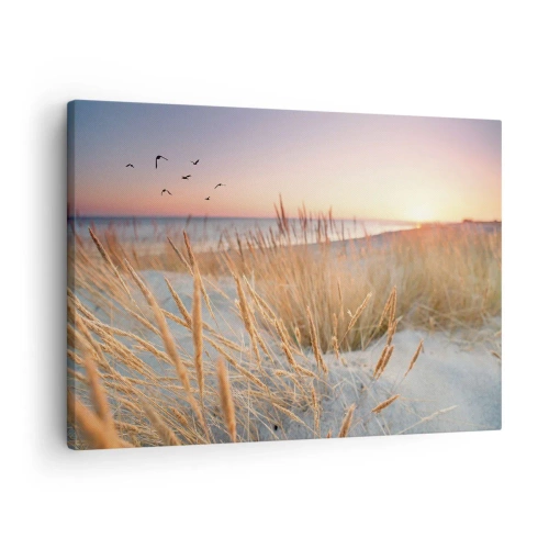 Cuadro sobre lienzo - Impresión de Imagen - Playa al atardecer con hierbas altas - 70x50cm - Dulce nana del Báltico - Decoración de pared moderna para salón y dormitorio ARTTOR