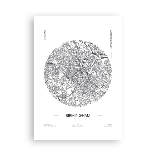 Póster - Anatomía de Birmingham - 70x100 cm