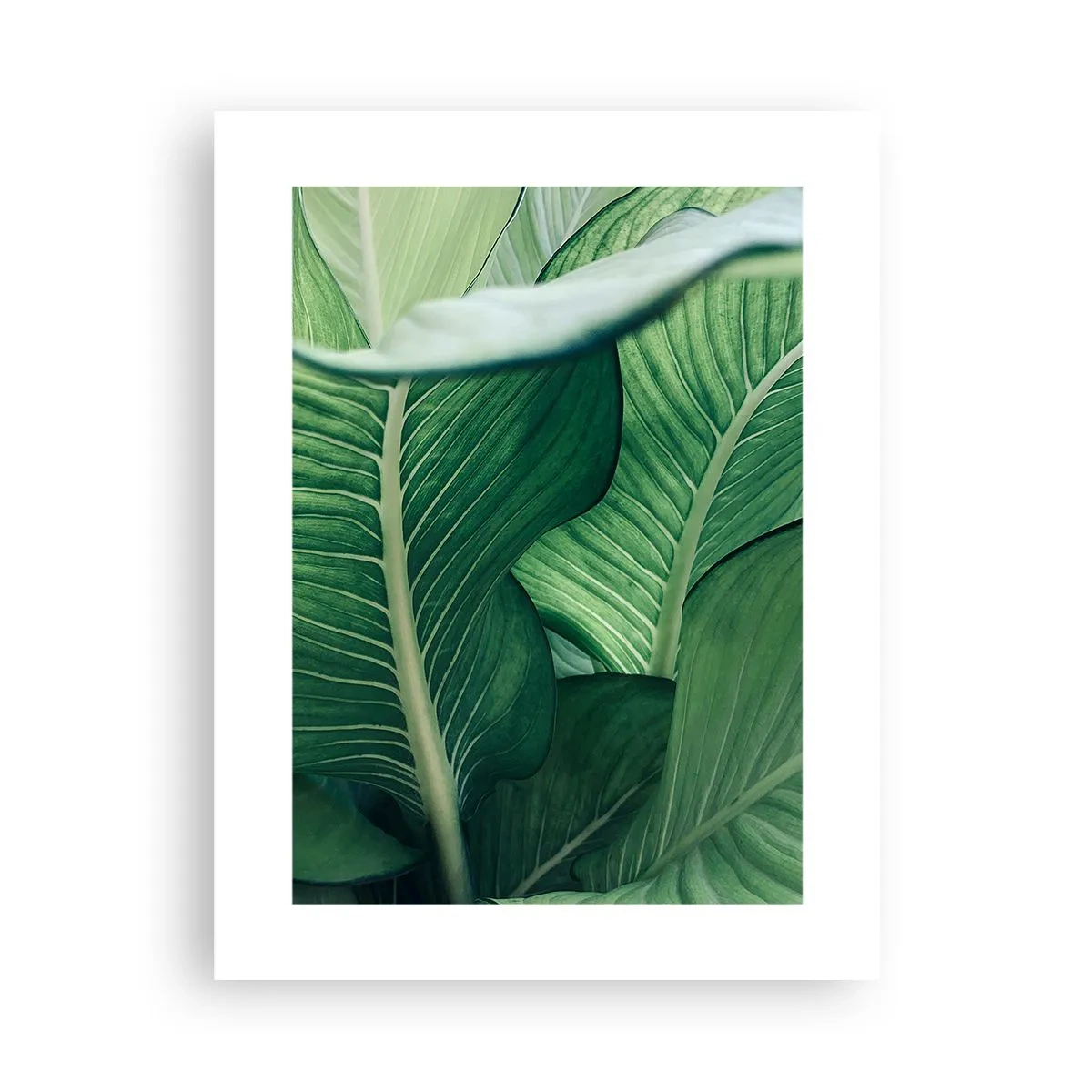 Póster - Vida intensamente verde - 30x40 cm