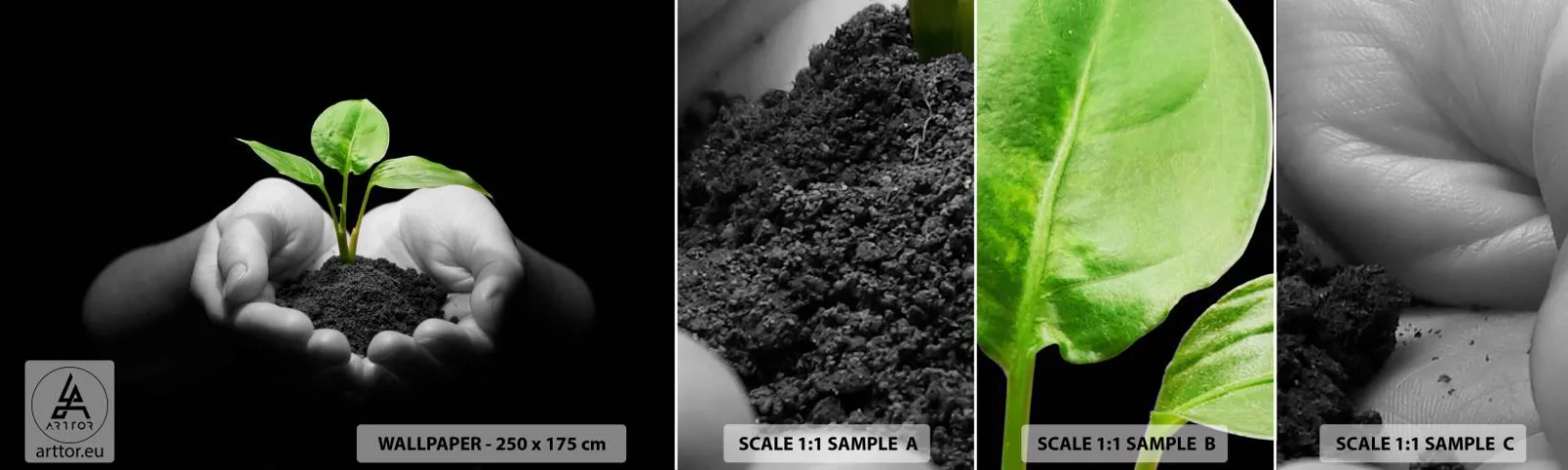 Muestra De Fotomural Standard Eco - Amo la naturaleza, la protejo - Naturaleza, Vida, Planta - 100x30 cm