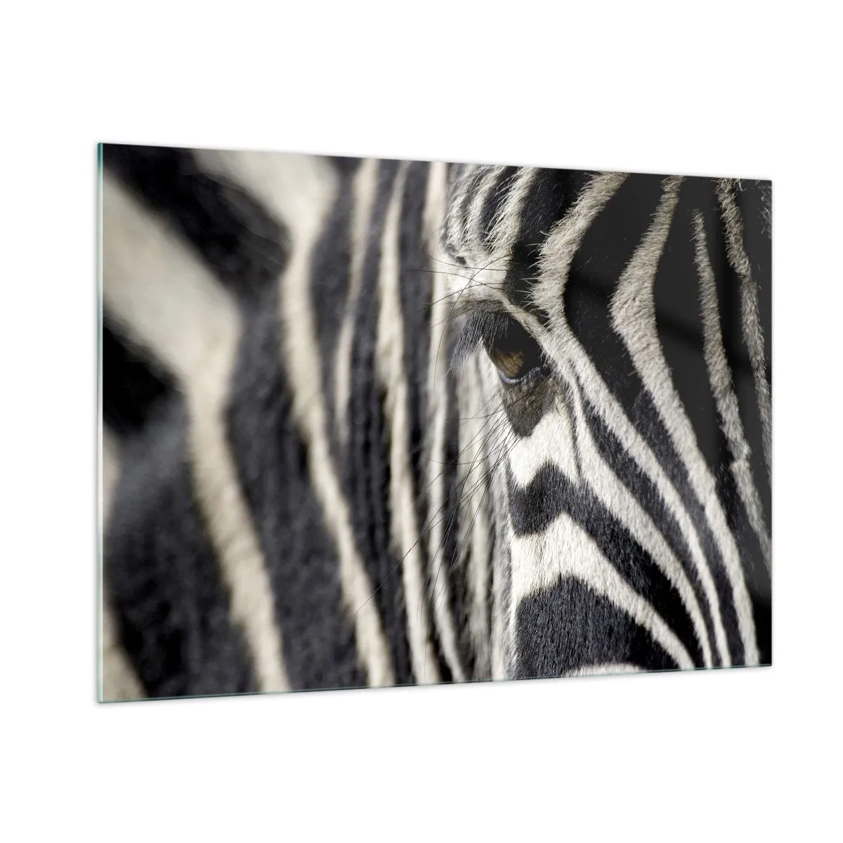 Cuadro sobre vidrio - Impresiones sobre Vidrio - Primer plano del ojo de una cebra y rayas blancas y negras. - 100x70cm - Retrato a rayas - Decoración de pared moderna para salón y dormitorio ARTTOR