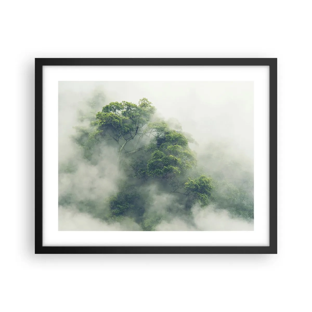 Póster en marco negro - Envuelto en niebla - 50x40 cm