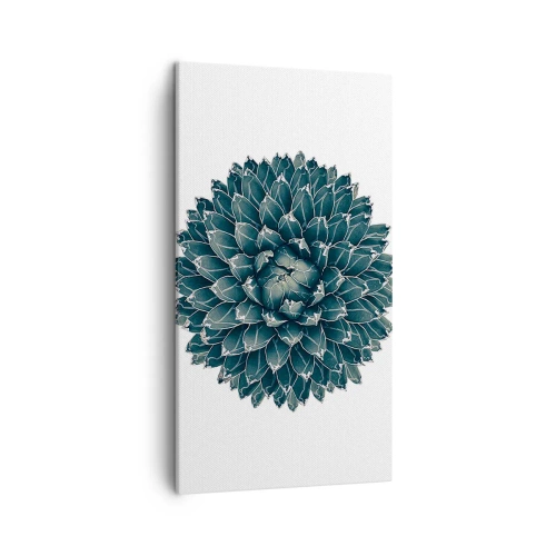 Cuadro sobre lienzo - Impresión de Imagen - Estrella del desierto - 45x80 cm