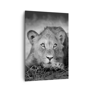 Cuadro sobre lienzo - Impresión de Imagen - Retrato monocromático de un león joven acostado - 70x100cm - Un cachorro real - Decoración de pared moderna para salón y dormitorio ARTTOR