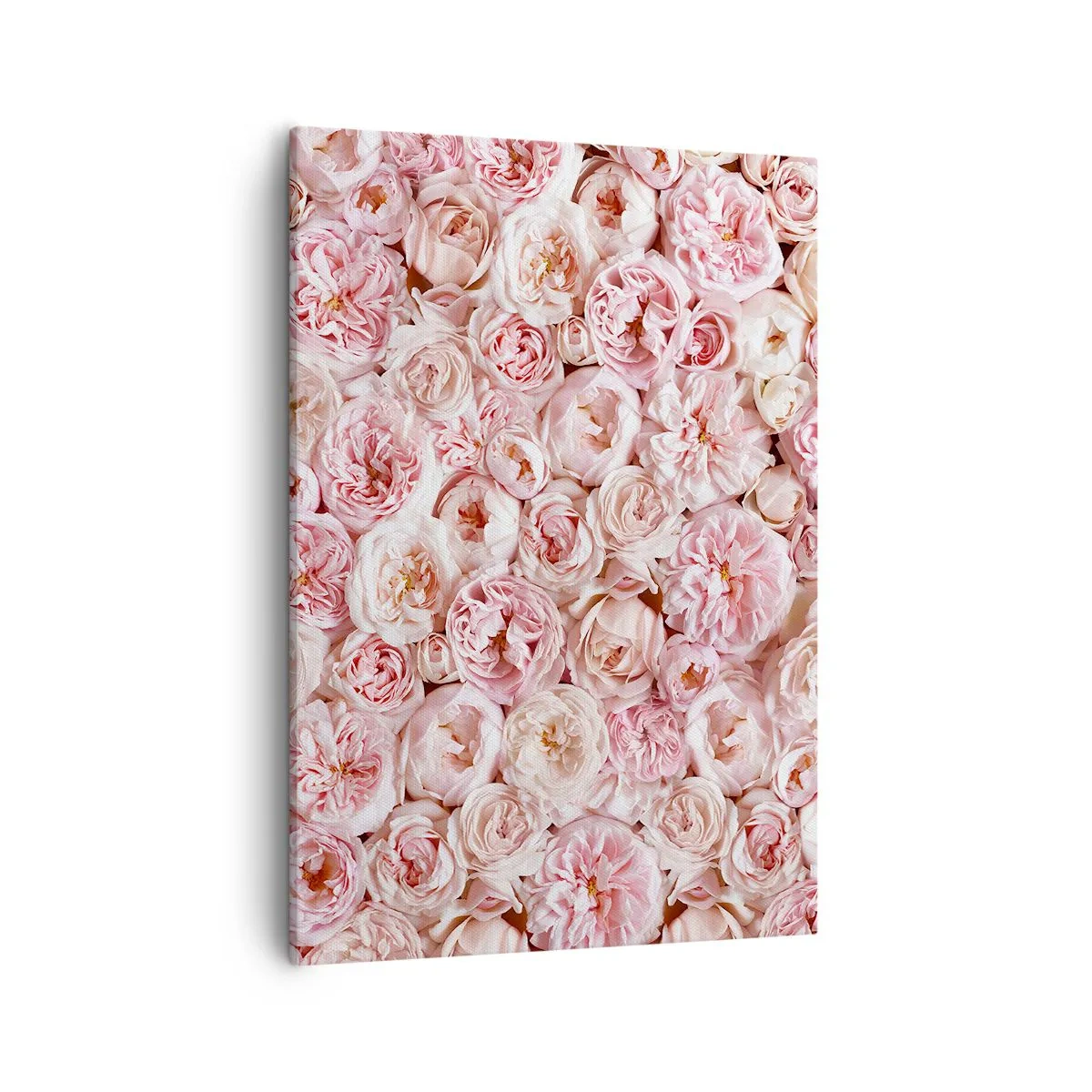 Cuadro sobre lienzo - Impresión de Imagen - Delicadas rosas en tonos rosa por toda la superficie. - 50x70cm - Salpicado de rosas - Decoración de pared moderna para salón y dormitorio ARTTOR