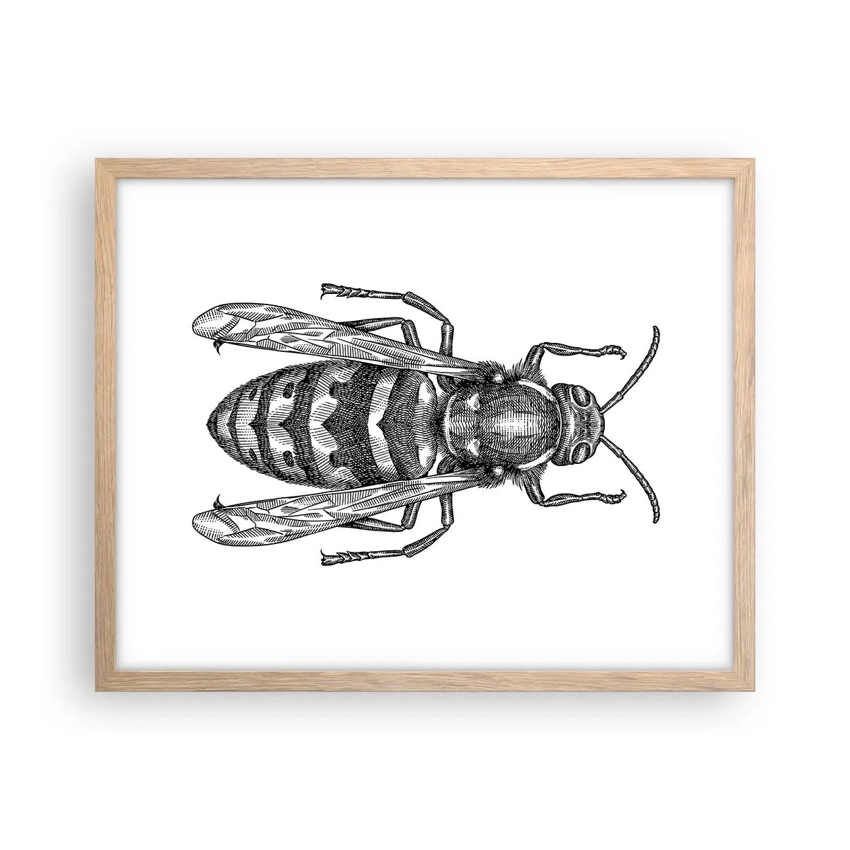 Póster en marco roble claro - Desde un planeta de insectos - 50x40 cm