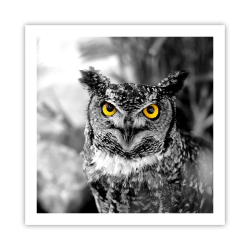 Póster - Nada se puede ocultar - 60x60 cm