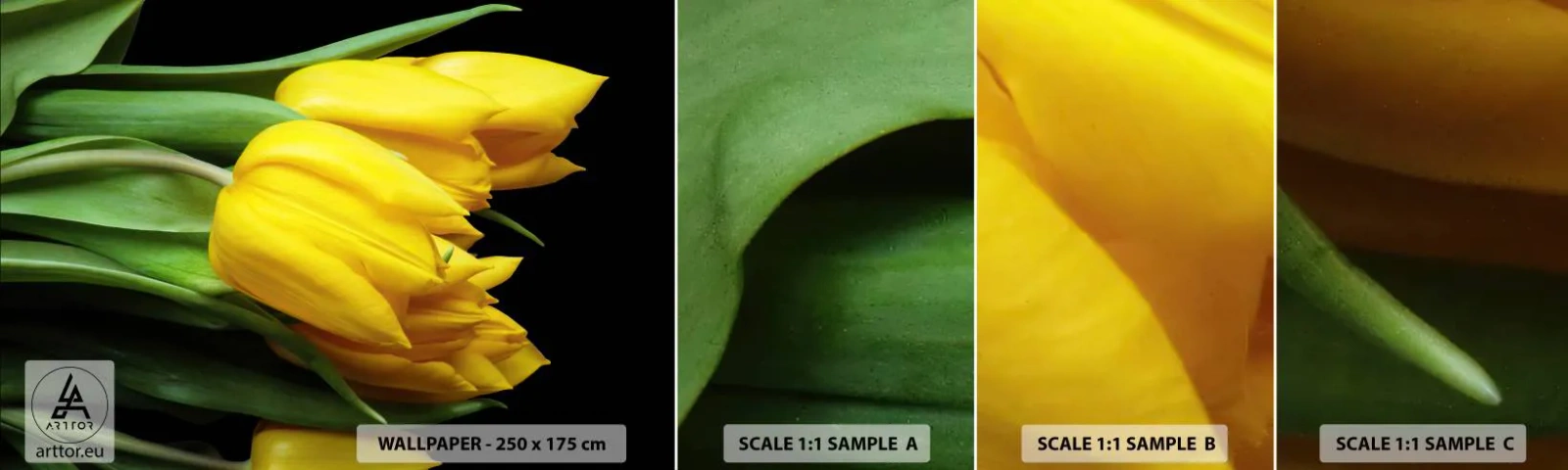 Muestra de fotomural autoadhesivo Deluxe Sticker - Resucitado de puro sol - flores, tulipanes, Ramo de flores - 100x30 cm