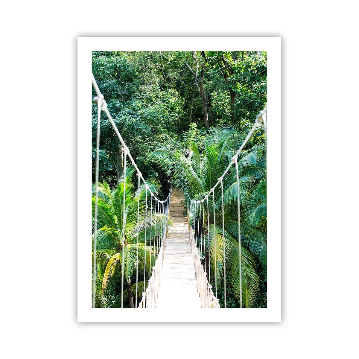 Póster - Un puente colgante en una selva tropical - 50x70cm - ¡Bienvenido a la selva! - Decoración de pared moderna para salón y dormitorio ARTTOR