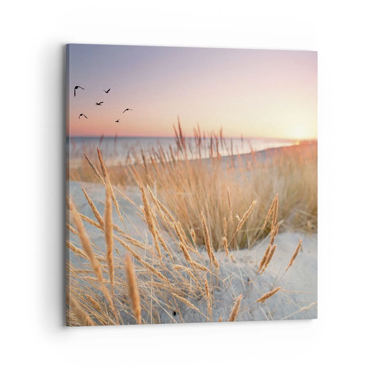 Cuadro sobre lienzo - Impresión de Imagen - Dulce nana del Báltico - 70x70 cm