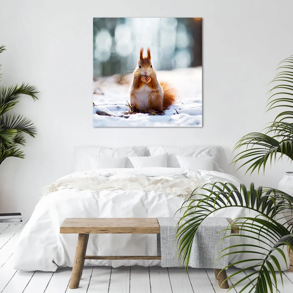 Cuadro sobre lienzo - Impresión de Imagen - ¿Qué estás mirando? - 50x50 cm