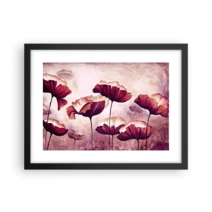 Póster en marco negro - Pétalo rojo y blanco - 40x30 cm