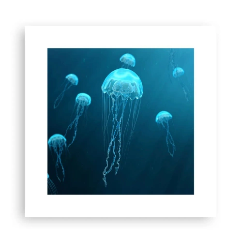 Póster - Danza oceánica - 30x30 cm