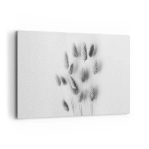 Cuadro sobre lienzo - Impresión de Imagen - Hierbas delicadas en tonos grises sobre un fondo blanco. - 100x70cm - Esponjas naturales - Decoración de pared moderna para salón y dormitorio ARTTOR
