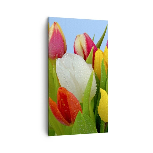 Cuadro sobre lienzo - Impresión de Imagen - Arco iris floral en gotas de rocío - 45x80 cm