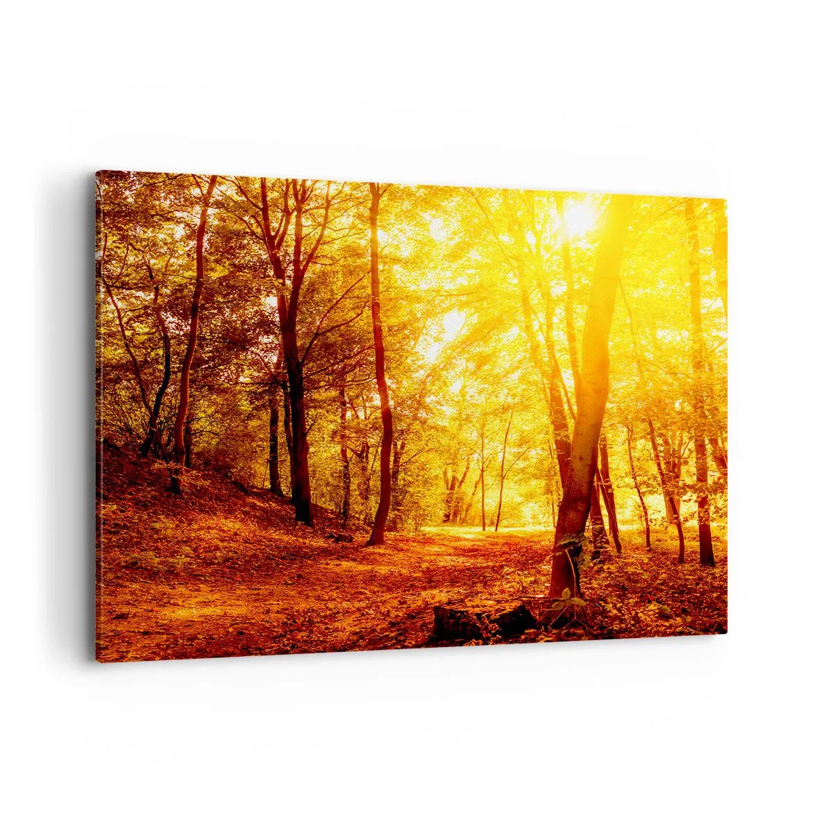 Cuadro sobre lienzo - Impresión de Imagen - Claro de otoño bajo la luz dorada del sol con un sendero forestal - 120x80cm - Hacia un claro de oro - Decoración de pared moderna para salón y dormitorio ARTTOR