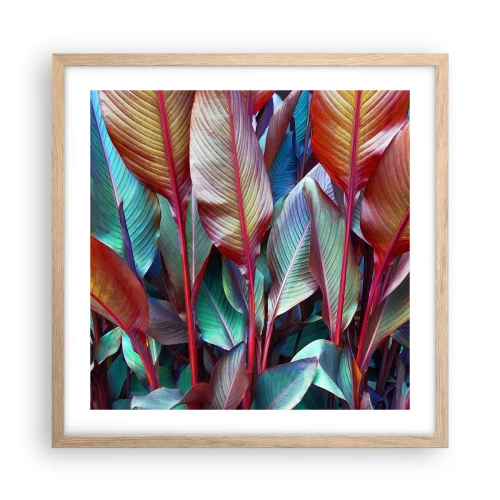 Póster en marco roble claro - Un matorral de colores - 50x50 cm