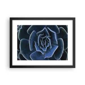 Póster en marco negro - Flor del desierto - 40x30 cm