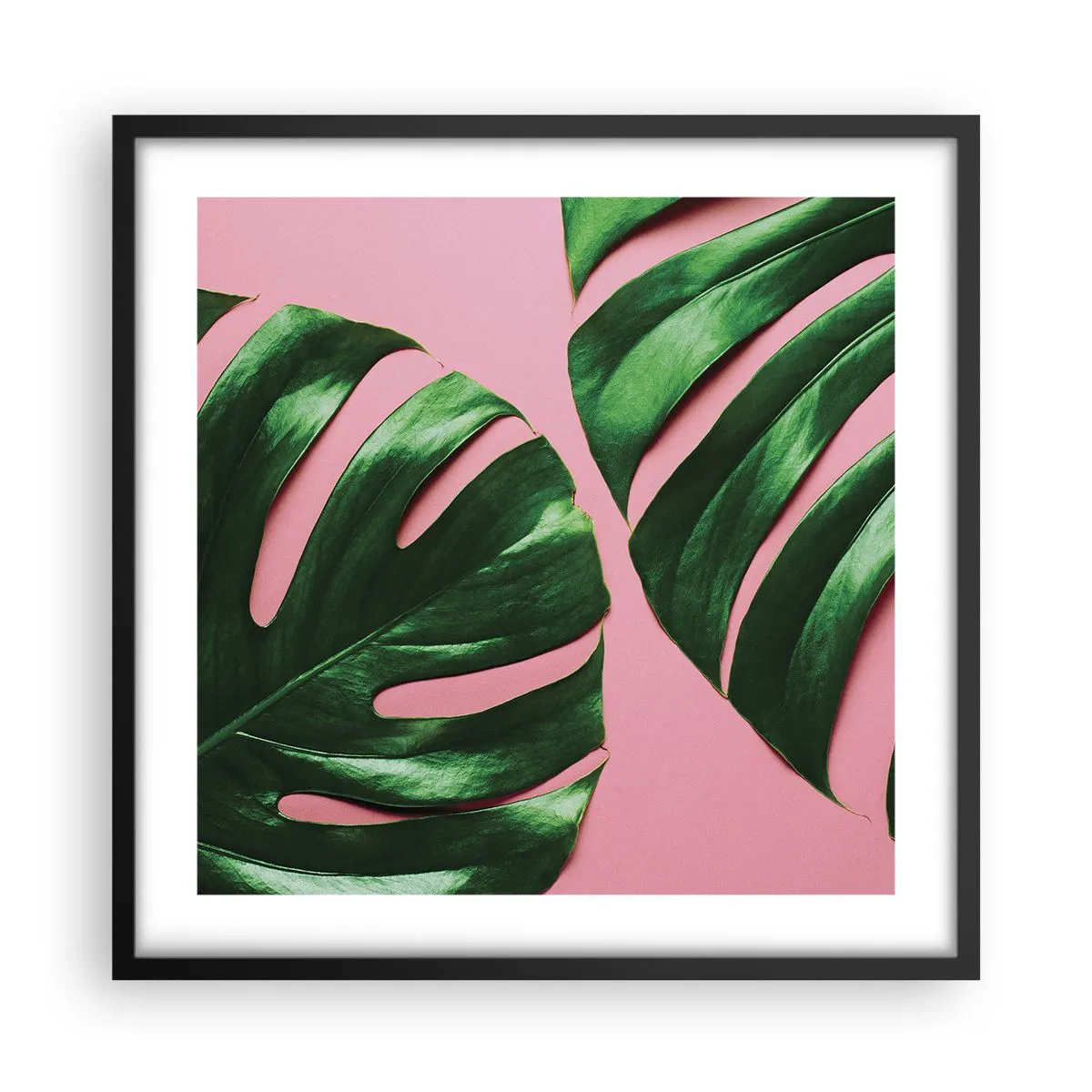 Póster en marco negro - Cita con el verde - 50x50 cm