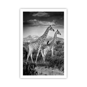 Póster - La clase alta de África - 61x91 cm