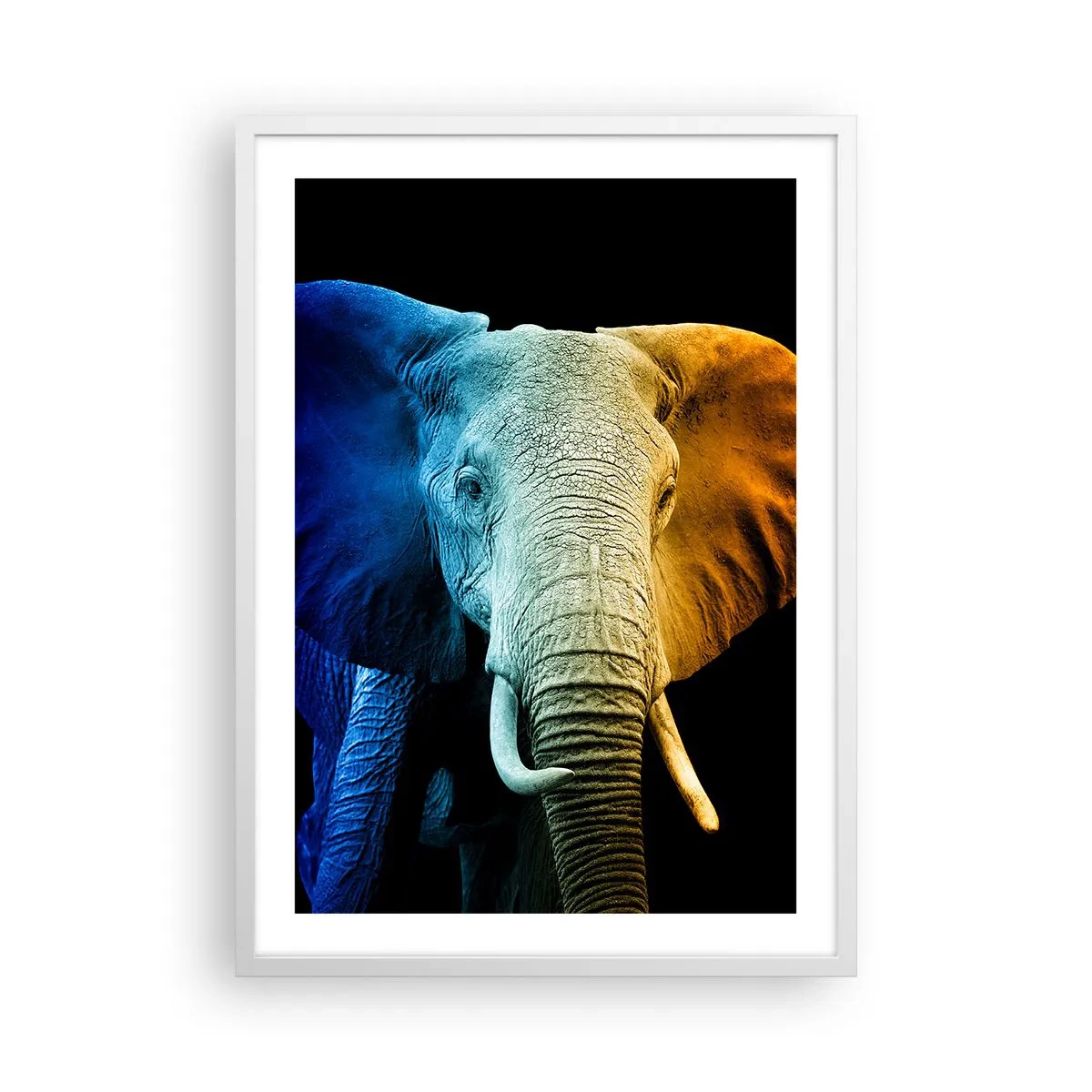 Póster en marco blanco - Excéntrico, no un bicho raro - 50x70 cm