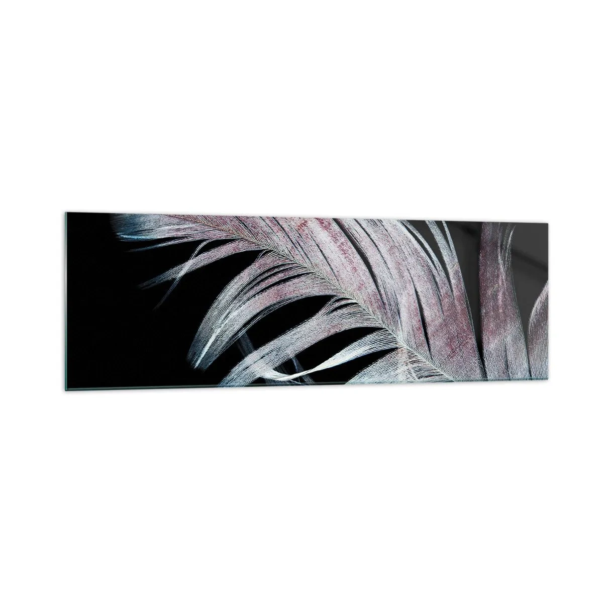 Cuadro sobre vidrio - Impresiones sobre Vidrio - Una delicada pluma sobre un fondo negro en un enfoque artístico. - 160x50cm - Piensa en el tacto - Decoración de pared moderna para salón y dormitorio ARTTOR