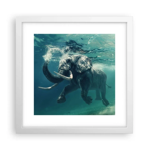 Póster en marco blanco - A todos nos gusta nadar - 30x30 cm