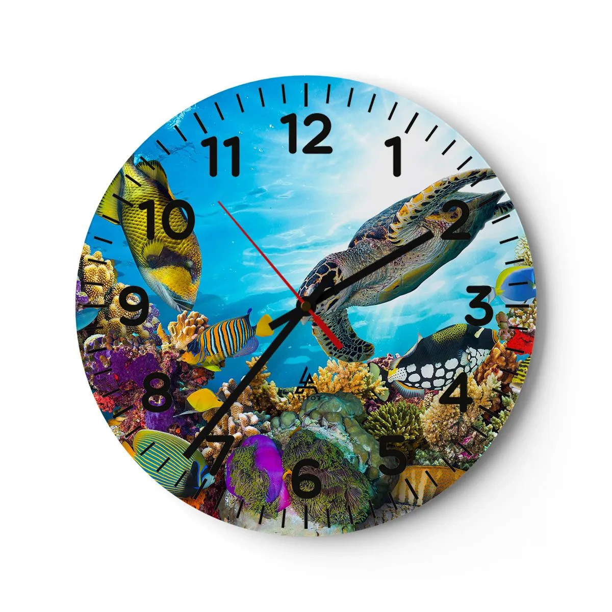 Reloj de pared - Reloj de vidrio - Paseo del coral - 40x40 cm
